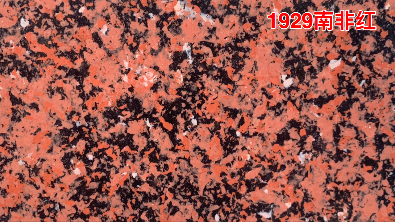 1929南非紅.jpg