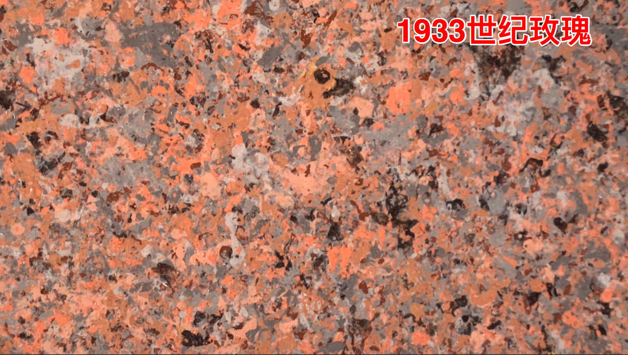 1933世紀(jì)玫瑰.jpg